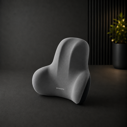 REMAY™ – The Precision Lumbar Support Cushion